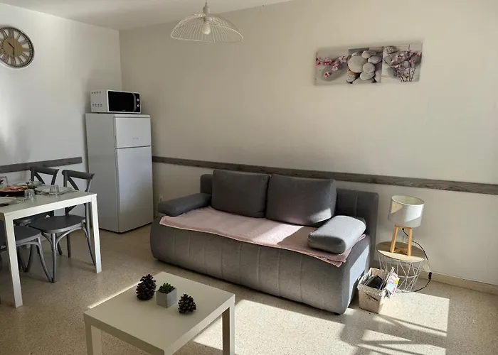 Apartamento Sol-y-days Goelette, Agreable En Rdc Avec Parking, Proche Du Centre-ville Et De La
